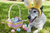 How to Host a Dog-Friendly Easter Egg Hunt