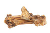Lamb Bone