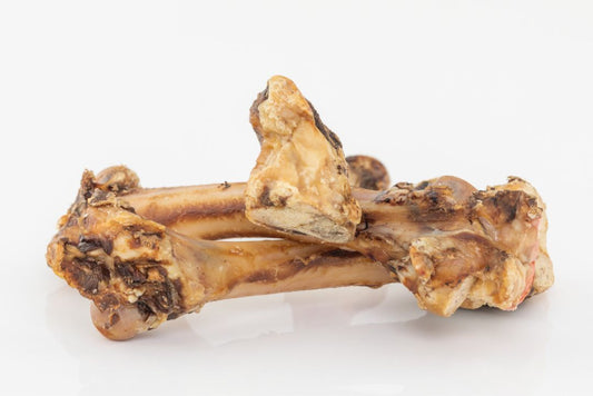 Lamb Bone